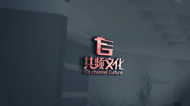 企业宣传片加盟代理：如何慧眼识珠，精准布局？**