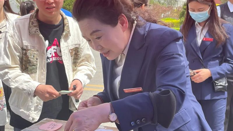 VI设计素材分类全解析：如何高效选择与应用