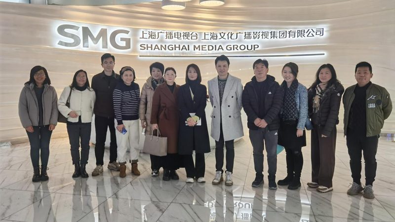手机短视频参数设置：揭秘高效创作背后的关键